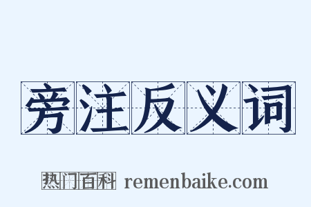 旁注反义词是什么意思的图片